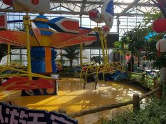 -南宫五洲植物乐园