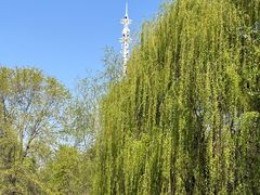 -长白岛森林公园