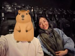 -SFC上影影城(北京大兴龙湖天街IMAX店)