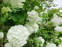 -杭州城北体育公园