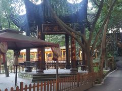 -巴山一绝烤全羊(三圣乡刘家花园店)