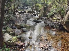 -云岫谷游猎自然风景区