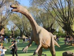 -南通洲际绿博园