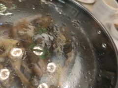 -青蓬蒸汽海鲜·深圳老字号·团建聚会(壹方城店)