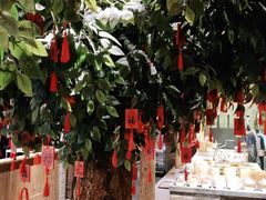 -南京大牌档(三阳广场苏宁店)