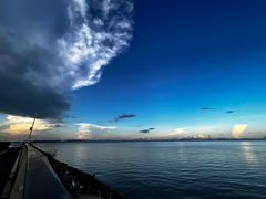 -大湾区中央湿地公园-十九涌