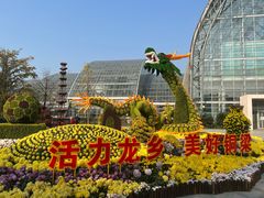 -南山植物园