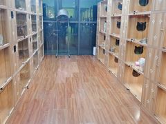 -猫十亿·布偶金渐层·曼基康矮脚猫舍(青年路店)
