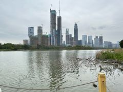 -华侨城湿地公园