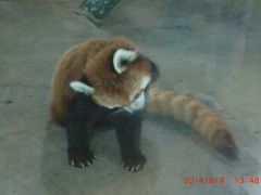 android_upload_pic-哈尔滨北方森林动物园