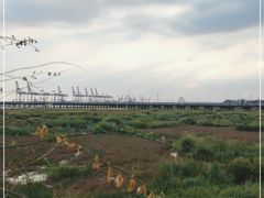 -汤山公园