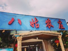 门面-寻味肇庆·八姑农庄·广府西江菜