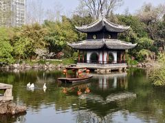 -水绘园
