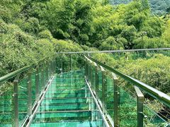 -陶祖圣境风景区