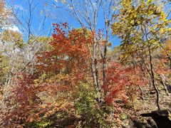 -五女峰国家森林公园