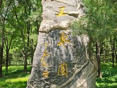 -北坞公园