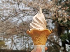 -名古屋城