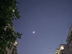 -芝根芝底(闵行区漕宝店)
