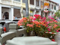 -槟城街头艺术街区