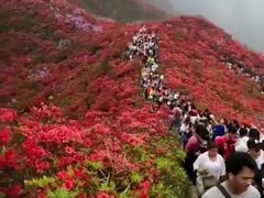 -井冈山风景名胜区