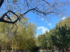 -长辛店二七公园