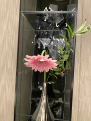 -美壹生诊所皮肤管理中心·海菲秀&Legacy美白舱