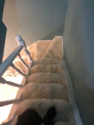 -YOUNGSKIN氧研皮肤管理中心