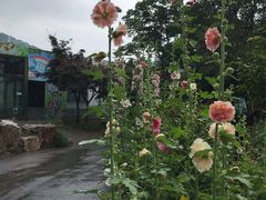 -无锡动物园·太湖欢乐园