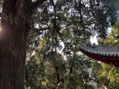 -七曲山风景区
