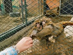 -水上乐园·欢乐世界