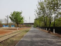 -永定河休闲森林公园