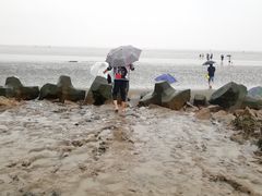 -南汇嘴观海公园