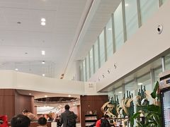 -浦东机场国航头等贵宾室