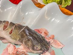 -老刘生态大鱼坊铁锅炖鱼(赛马场店)