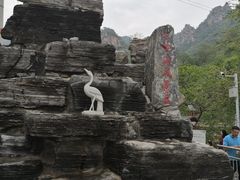 -大岭沟猕猴桃谷风景区