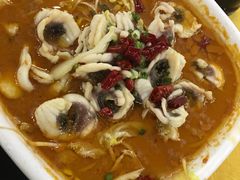 -焯明脆肉鲩世家(金沙洲店)
