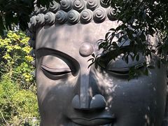 景点-杭州植物园