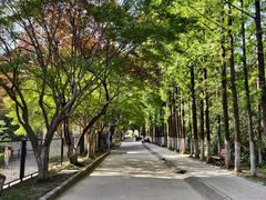 -江苏师范大学(泉山校区)