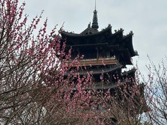 -杭州半山国家森林公园