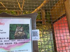 -上海大自然野生昆虫馆(东方明珠·爬宠昆虫探索中心)