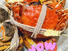 -阳澄湖大闸蟹·琼灵阁牌品牌连锁(吴中总店)
