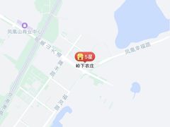 -岭下农庄·农家菜·野生大头鱼·公司团建(福永凤凰山店)