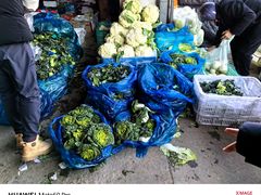 -江杨农产品批发市场