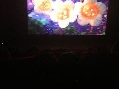 -万达影城(保定万博广场激光IMAX店)