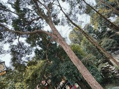 -都江堰普照寺