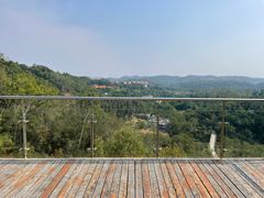 -南宁良凤江国家森林公园