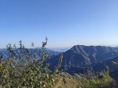 -大岭沟猕猴桃谷风景区