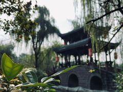 -棠湖公园