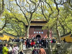-普陀山风景名胜区-法雨禅寺