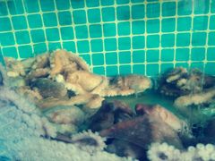 -前王院•巧克力海鲜市集餐厅(万平口店)